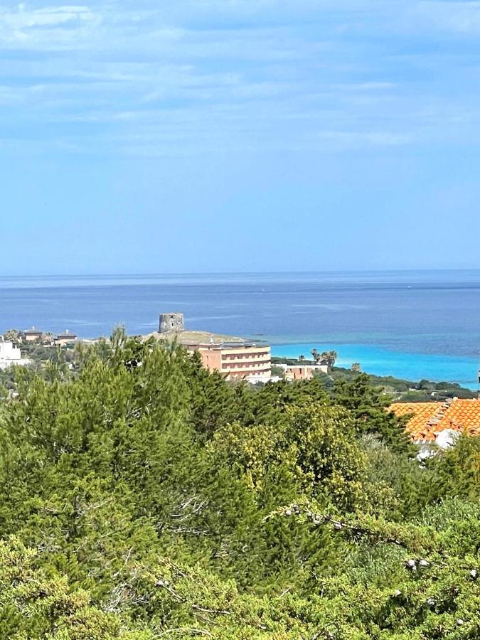 Casa Vacanze Stintino Vista Mare المظهر الخارجي الصورة